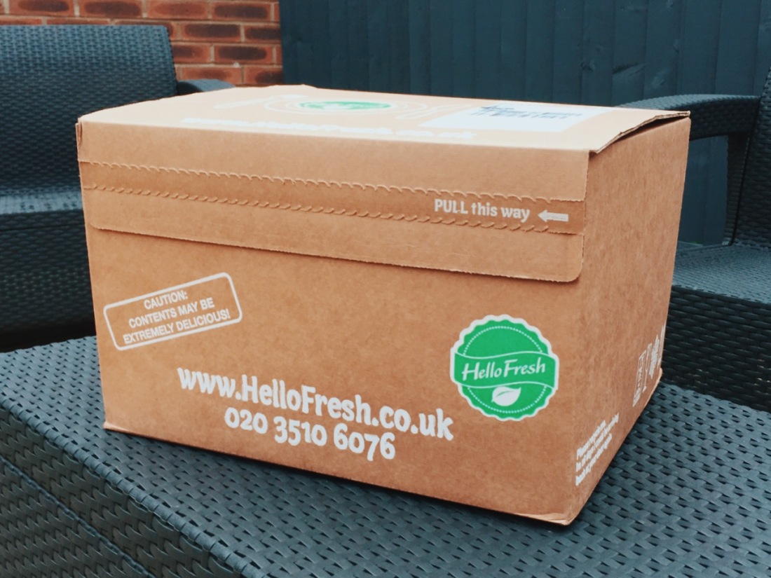 HelloFresh Delivery Box Review